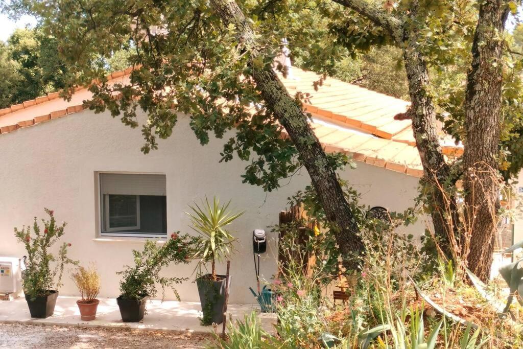 La Madoca Apartman Flayosc Kültér fotó